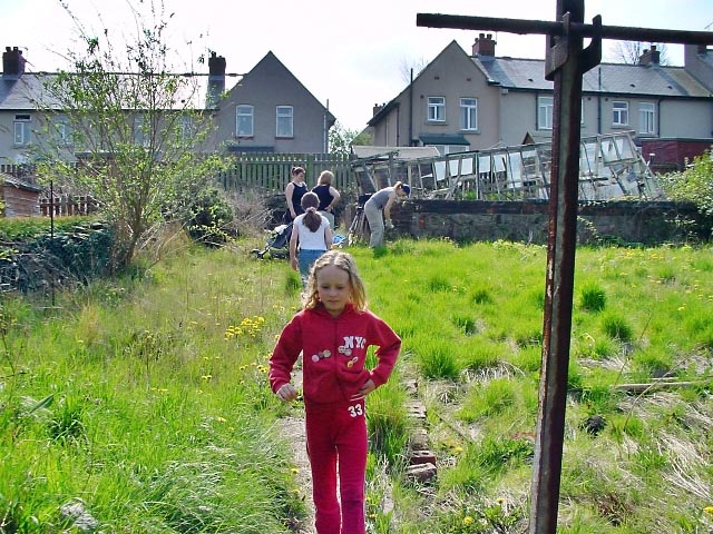 Beth in the allotment