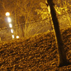 Crookes Valley Park - glowing zebra crossing pole at night