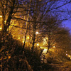 Ponderosa - view up the steps to Crookes Valley Road at night